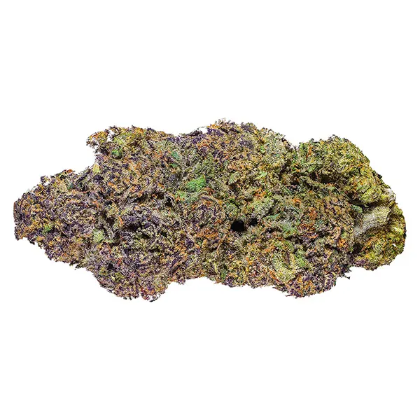 Image for Royal Dive #6: VantaBlack