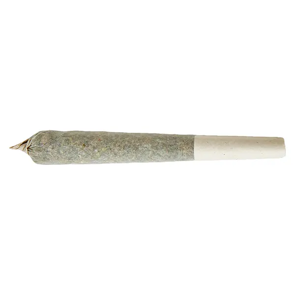 Image for Sativa Pre-roll