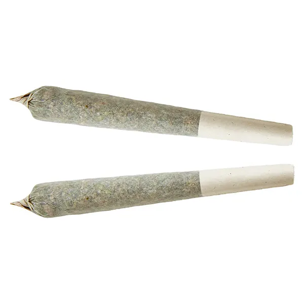 Sativa Pre-roll (Pre-Rolls) by XPLOR