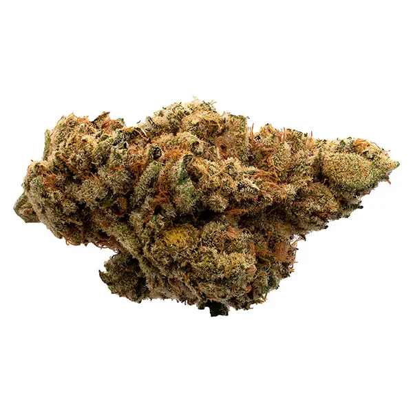 Image for Secret Strains