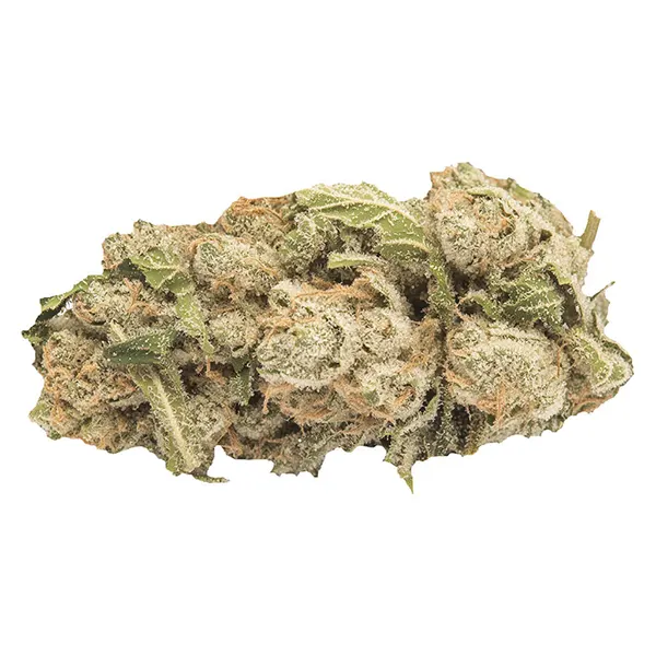 Bud image for Sherblato, cannabis top rated in all products by Contraband