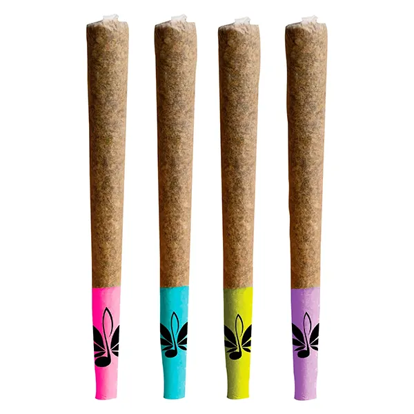 Image for Shuffle 4-Pack of J's