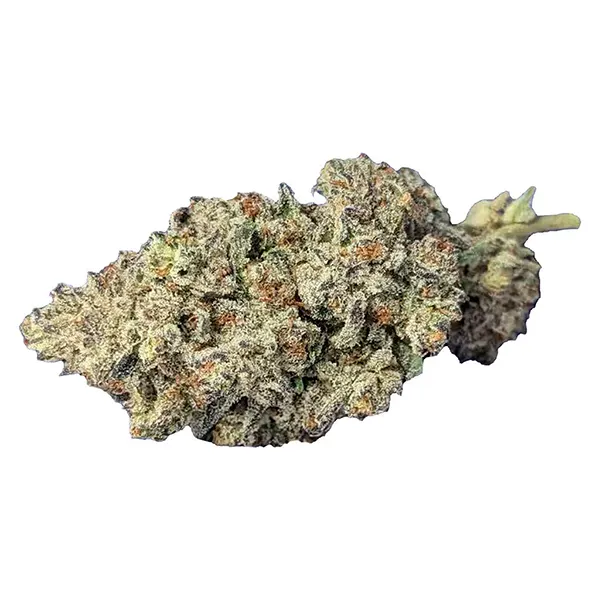 Image for Super Lemon Haze