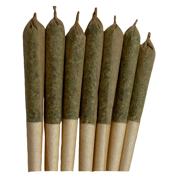 Image for The Bliss - Hybrid Pre-Roll, cannabis all products by Vertical