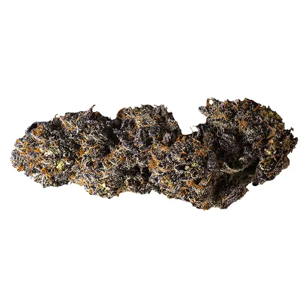 Image for The Dark Side