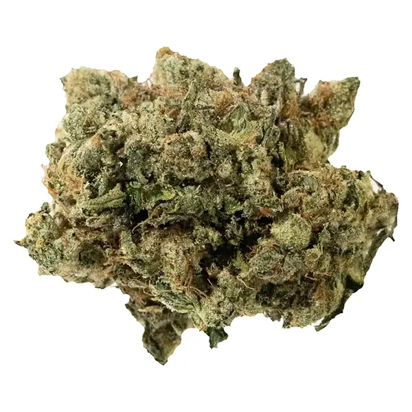 Image for The Handy Harvest