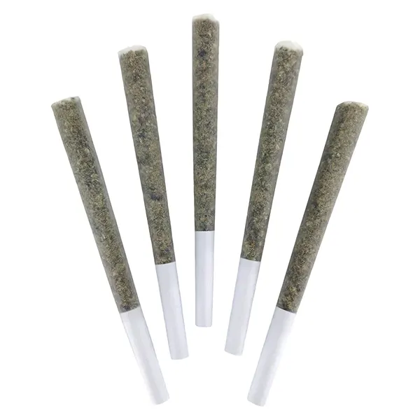 Image for Tokyo Sunset Pre-Roll