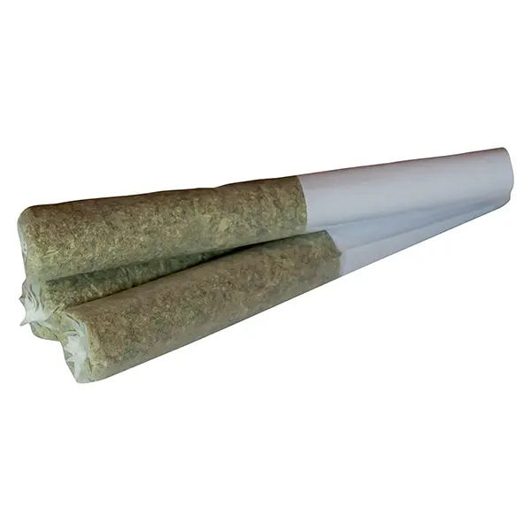 Image for Tropical Meltdown Pre-Roll, cannabis all products by True Fire