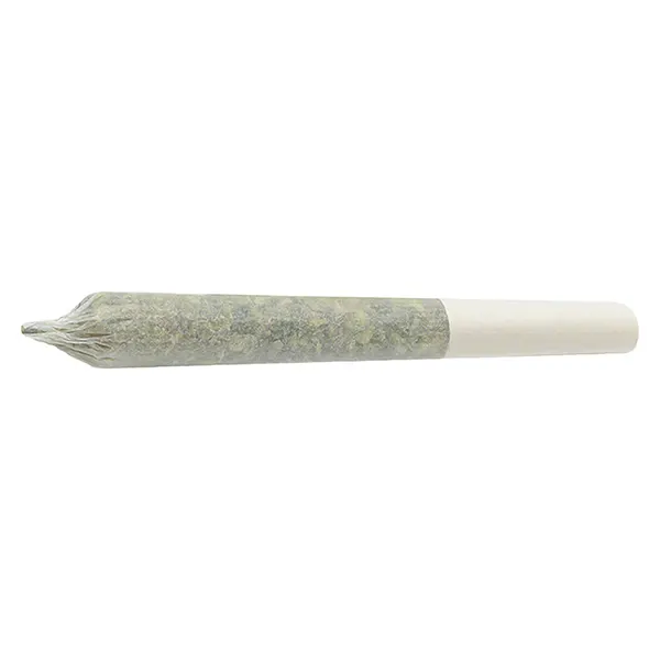 Image for Tropical Milkshake Pre-roll