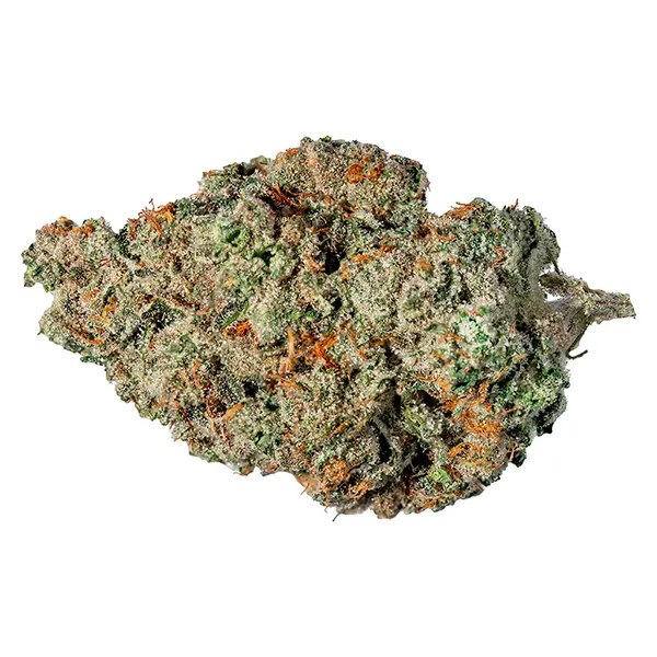 Image for Valley Girl