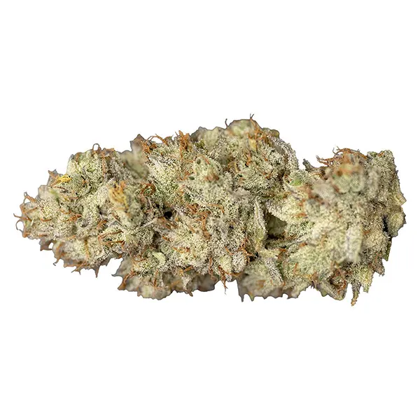 Image for Wagyu Delight