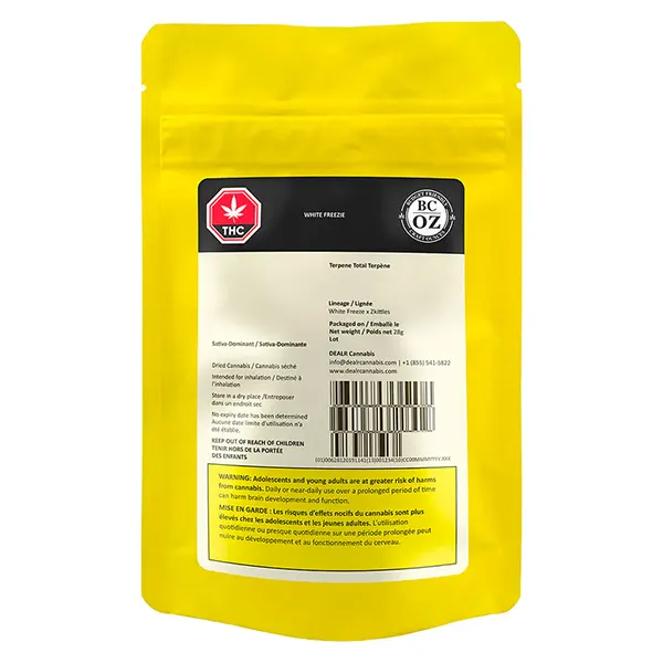 White Freezie (Dried Flower) by BC OZ