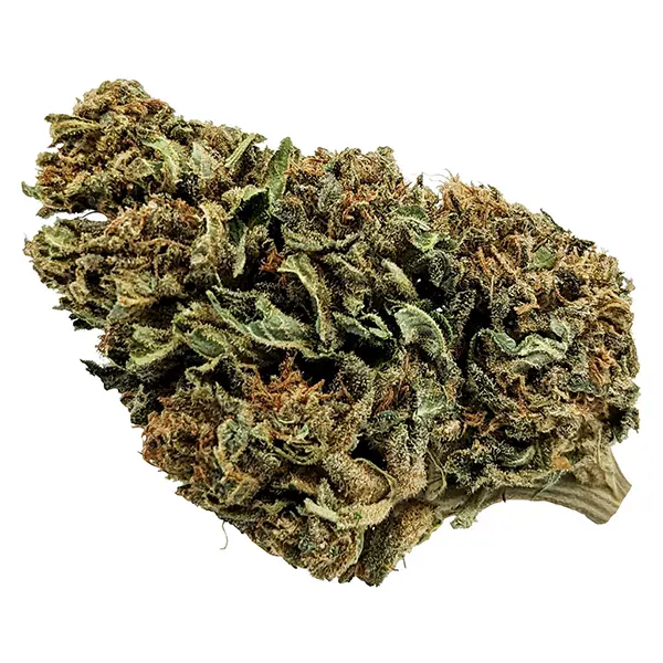 Image for Whole Plant CBD Bud