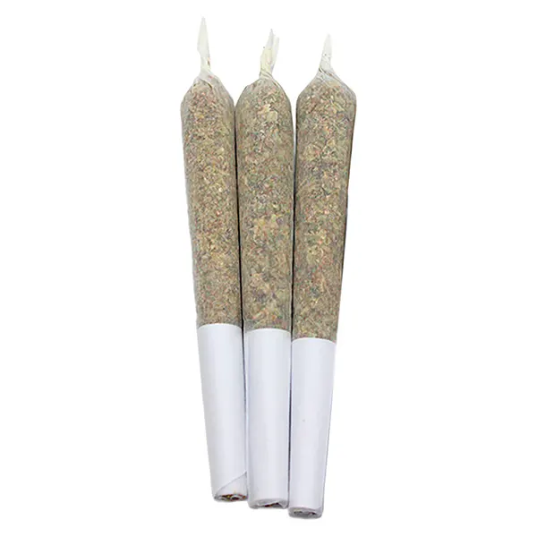 Image for Wild Watermelon Coconut Live Rosin + Disty Infused Pre-Rolls