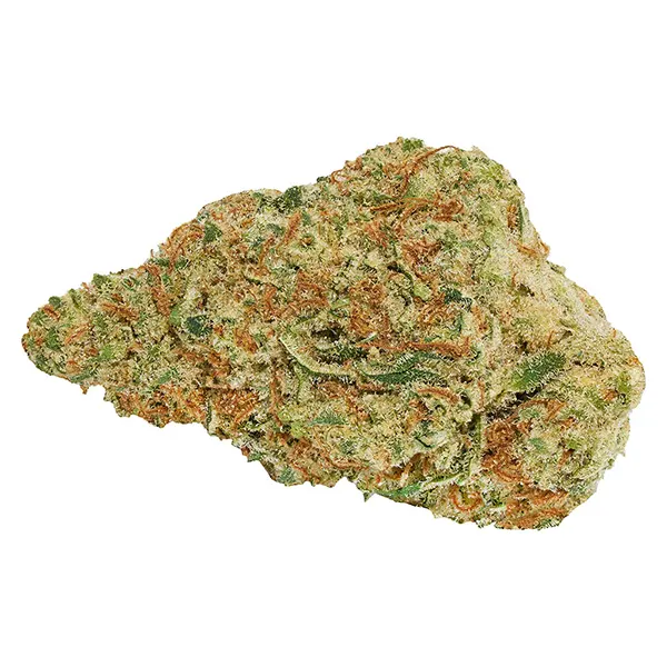 Image for Winter Frost