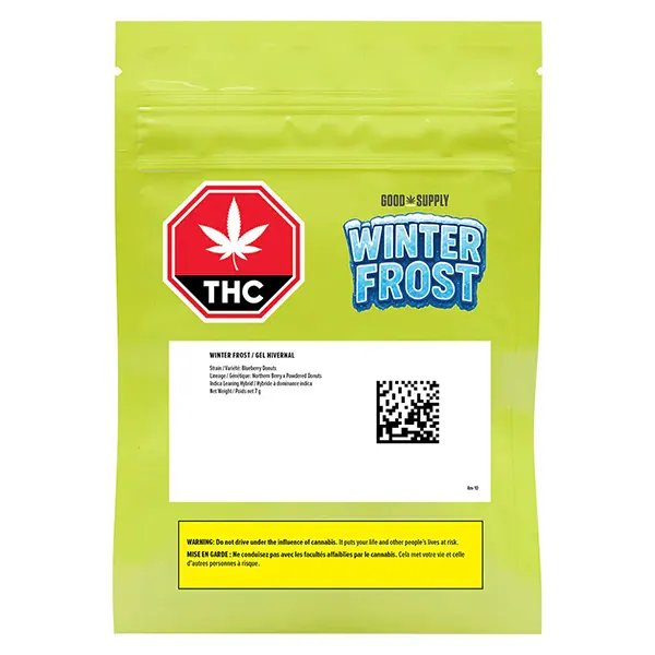 Winter Frost (Dried Flower) by Good Supply