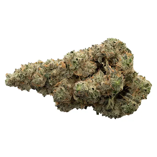 Bud image for With Love From Scarborough, cannabis dried flower by The Loud Plug