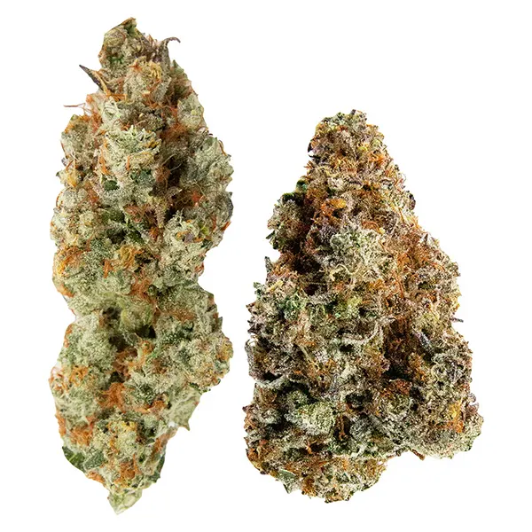 Bud image for Yin Yang, cannabis all products by Northern Canna