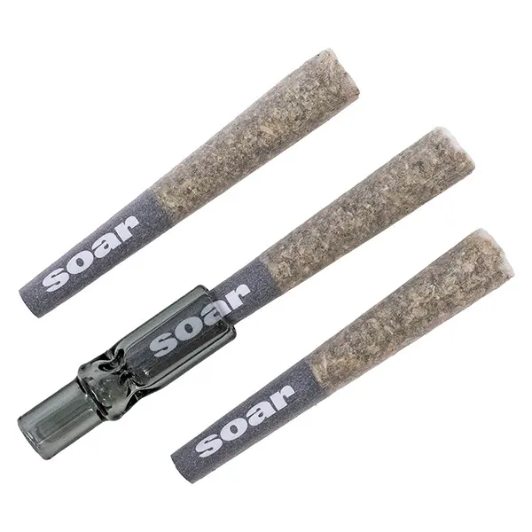 Image for 187 Kush Pre-Roll, cannabis all products by Soar