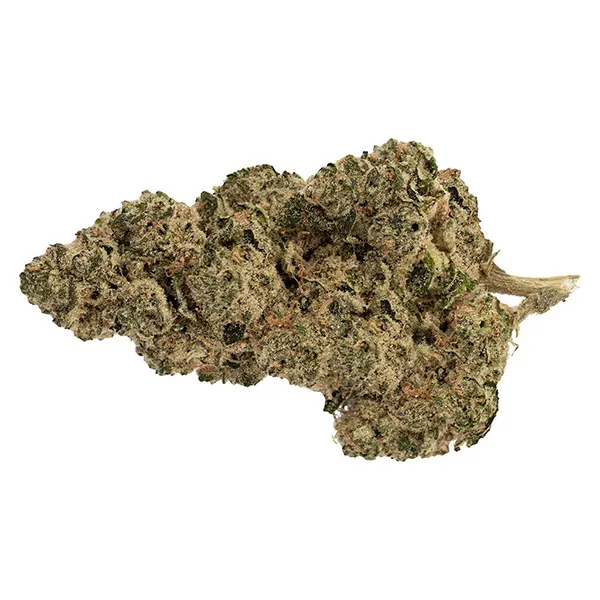 Bud image for 187 Kush, cannabis dried flower by Soar