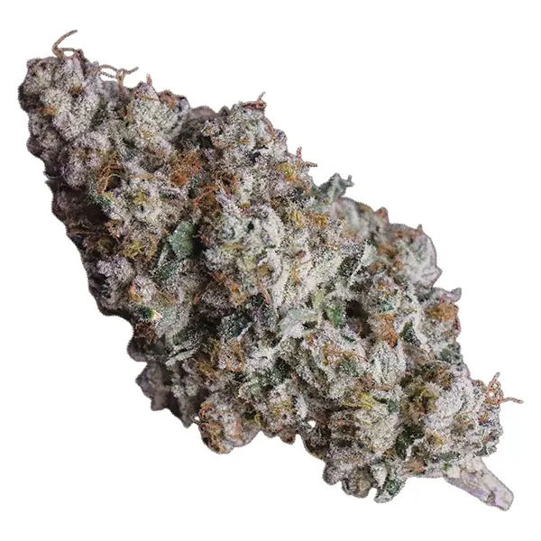 Bud image for 91 Royale, cannabis dried flower by Frost Cannabis