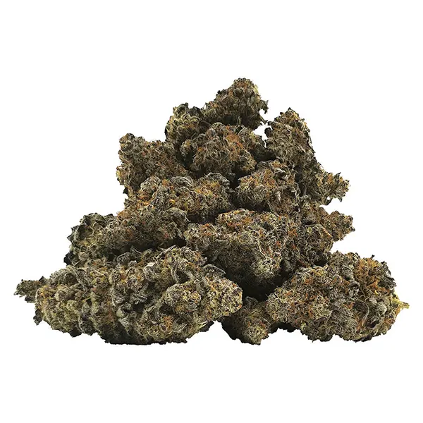 Bud image for 9 lb Hammer, cannabis dried flower by BC OZ
