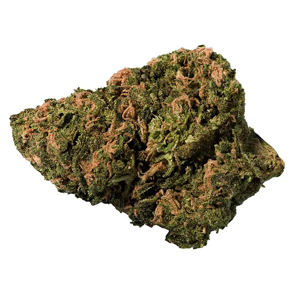 Bud image for BC Organic Sungrown Bonkers, cannabis dried flower by Big Steal