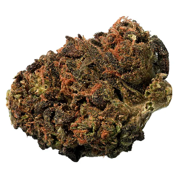 Bud image for BC Organic Sungrown Mango Sapphire, cannabis dried flower by Big Steal