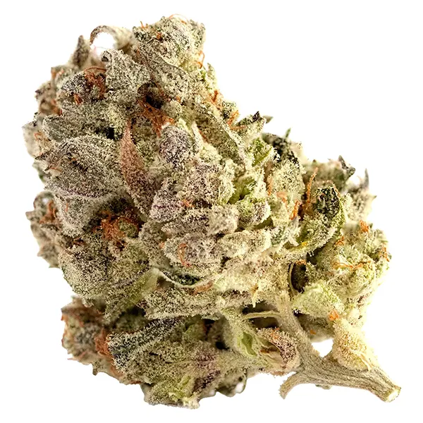 Bud image for Cherry Park Pie, cannabis dried flower by Highland Special