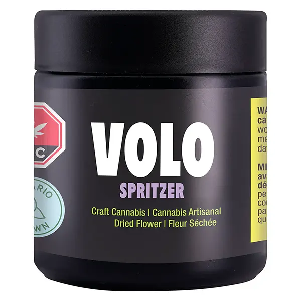 Spritzer (Dried Flower) by Volo