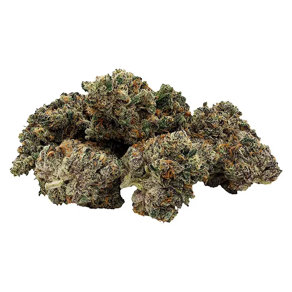 Image for Night Shift