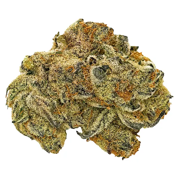 Bud image for Jonny's Stash Rotational Indica, cannabis dried flower by Jonny Chronic