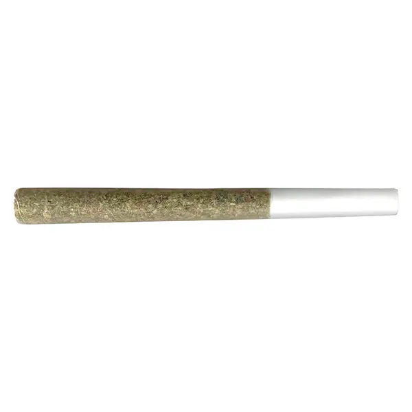 Image for OG Gas Pre-Roll