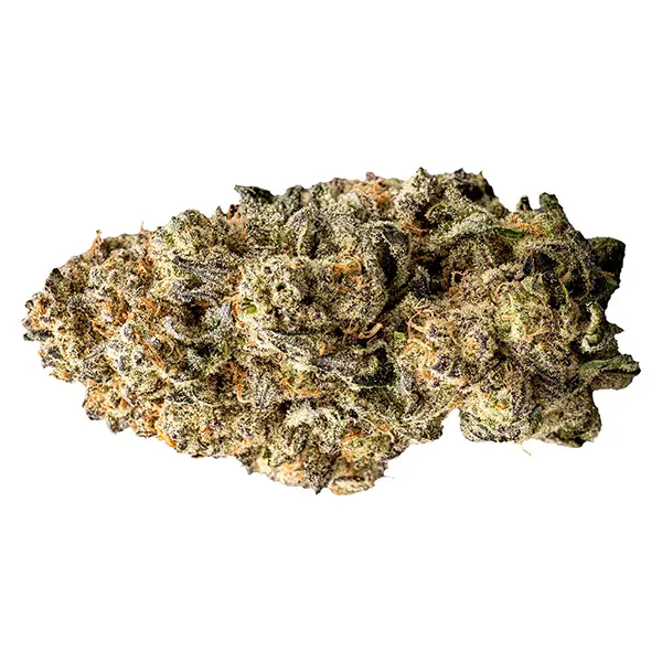 Bud image for Orange Slushie, cannabis dried flower by WAZA