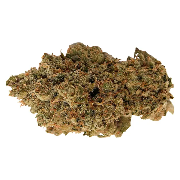 Bud image for Pineapple Haze, cannabis dried flower by Pineapple Buds