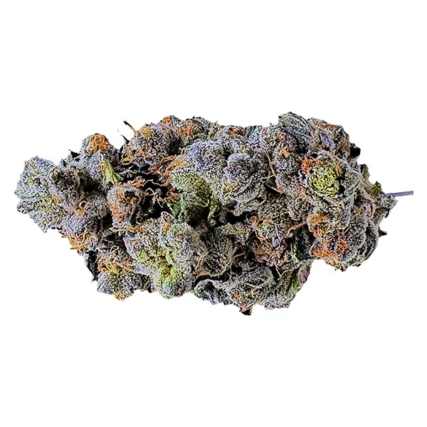 Image for Platinum Blue Gellati