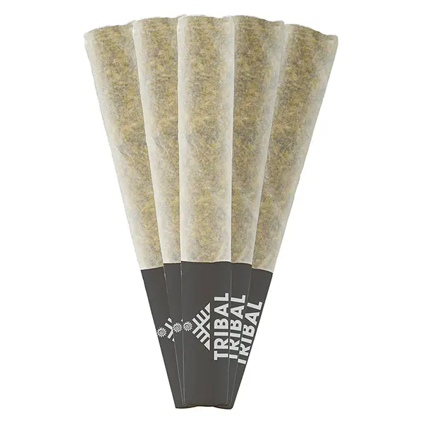 Image for Porto Leche Pre-Roll