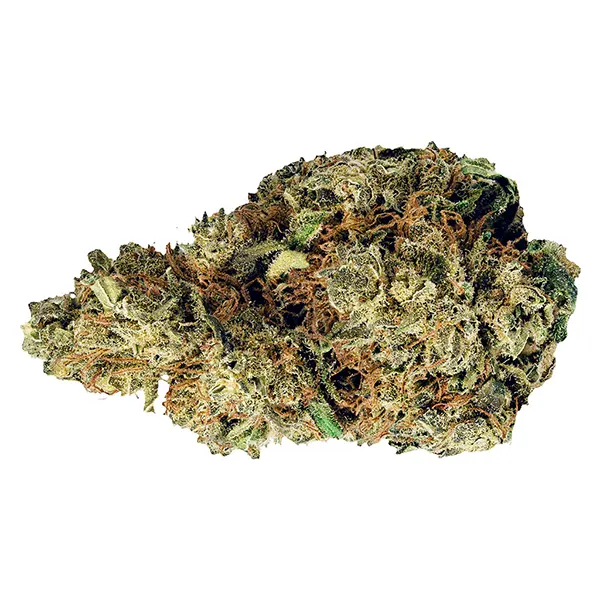 Image for Resting Gas Face