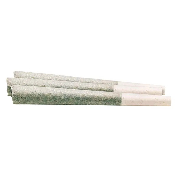 Image for Rotational Sativa Pre-Roll, cannabis all products by Nectur Solventless