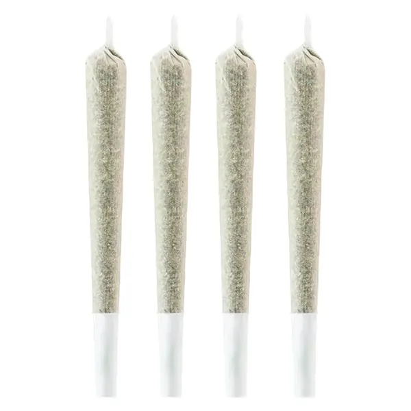 Image for Snack Pack - Indica Pre-Roll