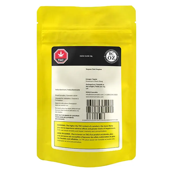 Snow Globe (Dried Flower) by BC OZ