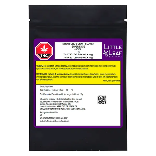 Stratford's Craft Flower Experience (Dried Flower) by Little Leaf