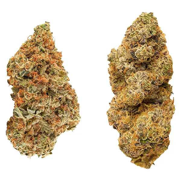 Bud image for Taster Series Variety Pack, cannabis dried flower by Redecan