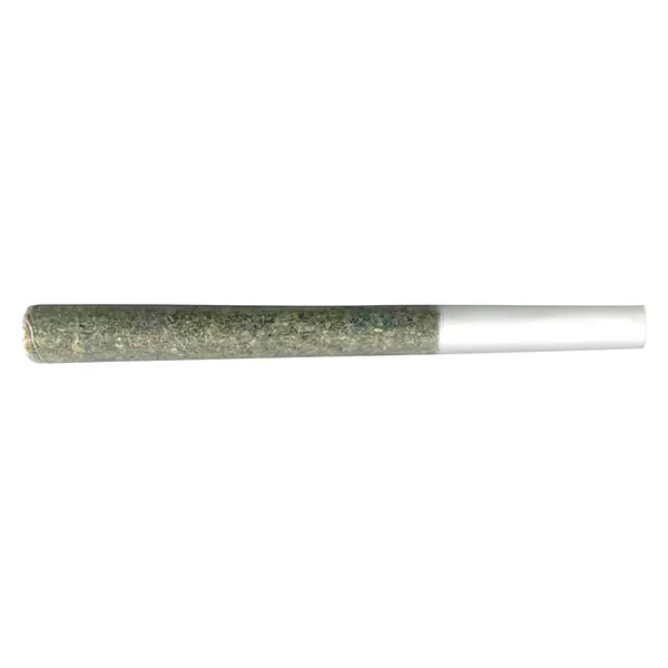 Image for The Penny Puffer Hash Infused Pre-Roll