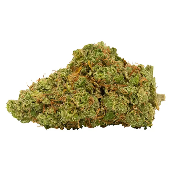 Bud image for Ultra Jack, cannabis all products by 7Acres
