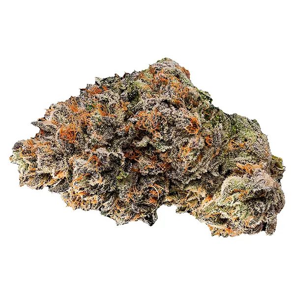 Image for Unicorn Poop