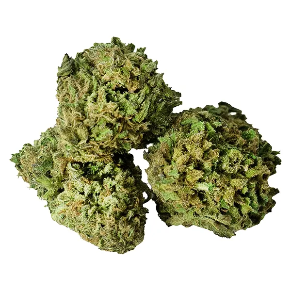 Image for Bruce Banner