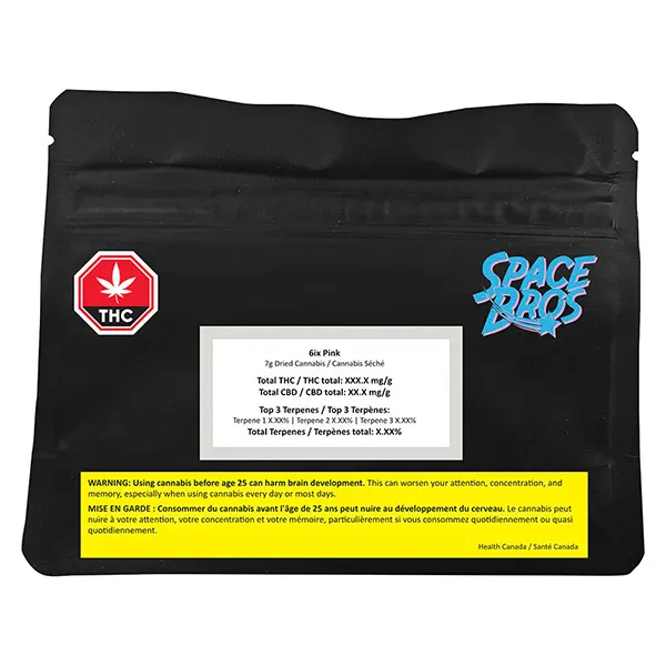 6ix Pink (Dried Flower) by Space Bros