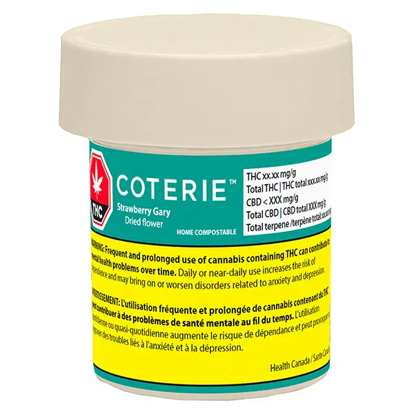 Strawberry Gary (Dried Flower) by Coterie