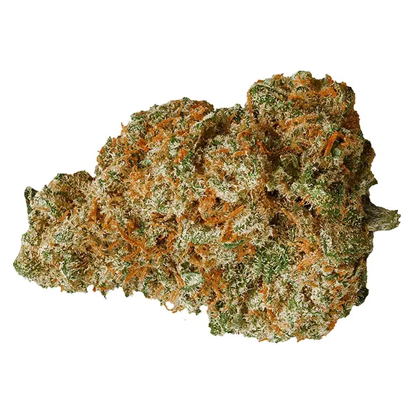 Bud image for Mango Dream, cannabis all products by Potluck